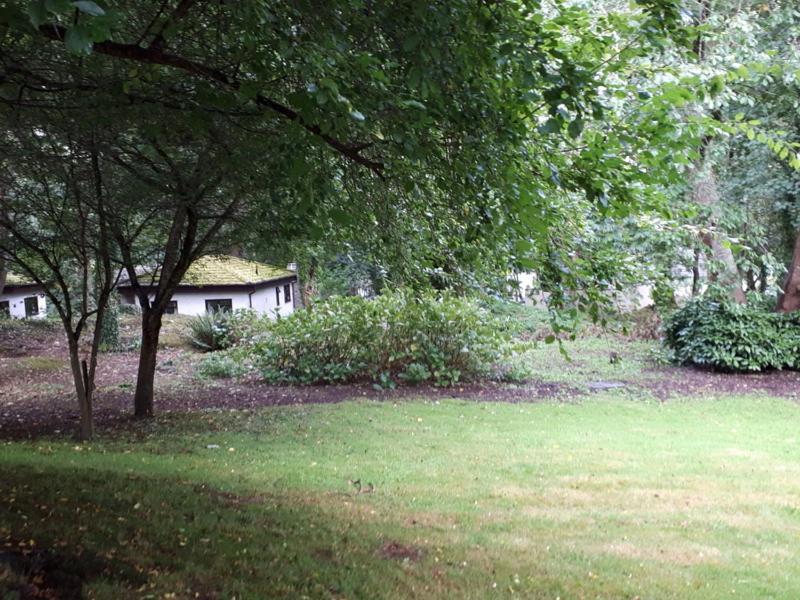 Woodland Retreat Villa Uny Lelant Exterior photo