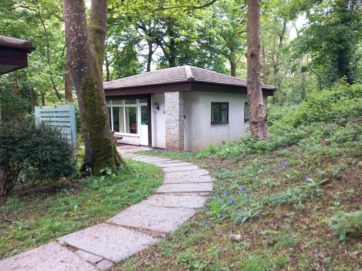 Woodland Retreat Villa Uny Lelant Exterior photo
